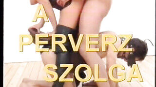Családi buli - Klasszikus retro magyar feliratos pornóvideó